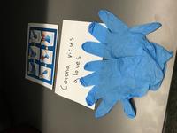 "Corona virus gloves"