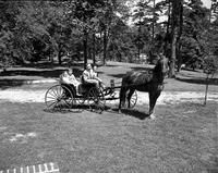 Family Riding in a Horse Cart