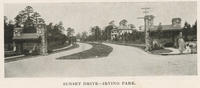 Sunset Drive -- Irving Park