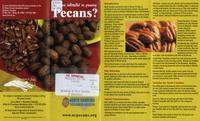 Are you interested in growing pecans?