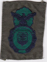 Air Force patch