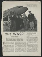 The WASP