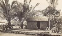A hut in Guam