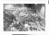 Warehouse of bags