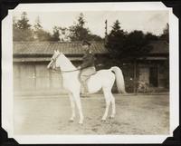 Colonel Harry Diston on Japanese emperor's horse